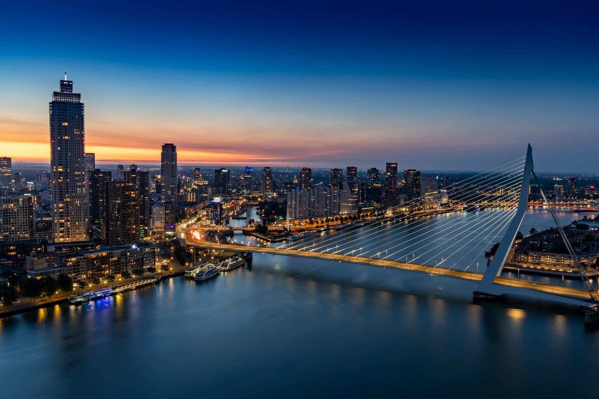 Rotterdam skyline with the Erasmus Bridge in the evening light