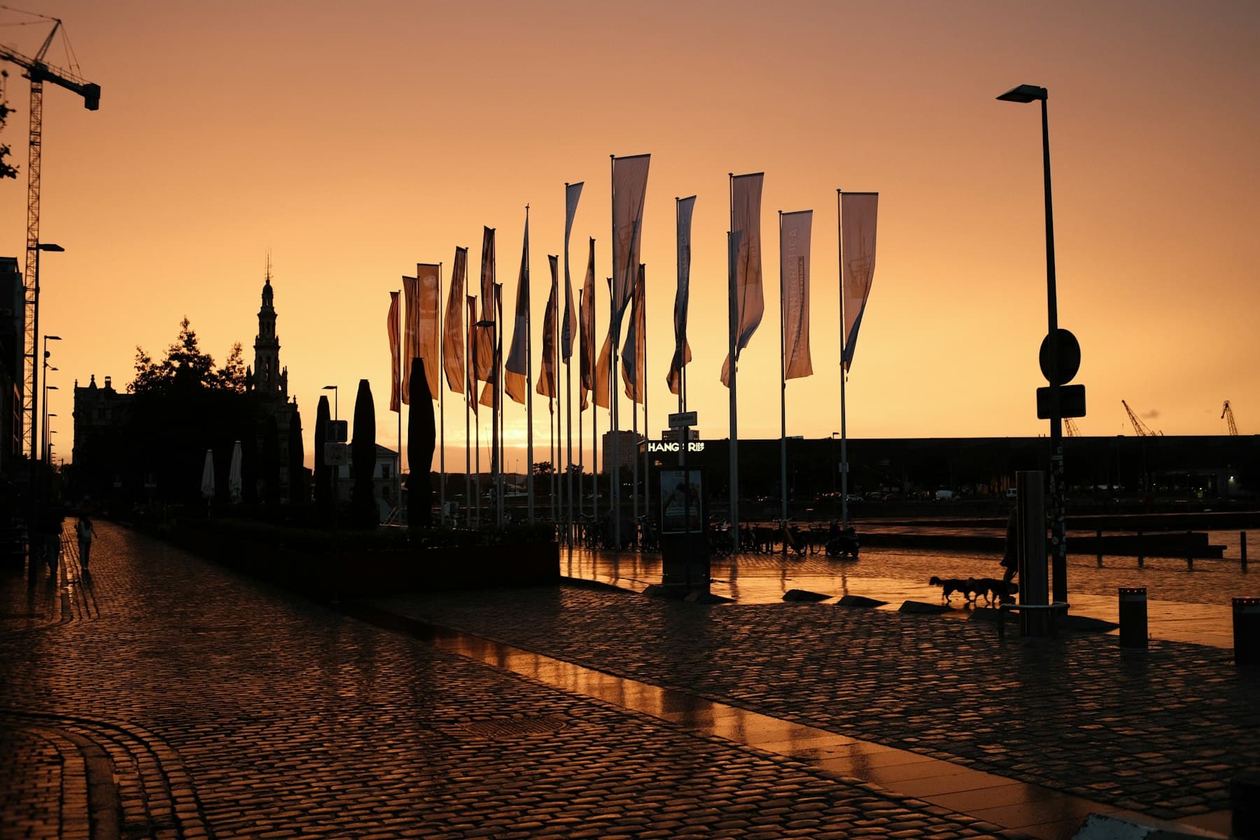The Scheldt quays in Antwerp with flags in the golden evening light